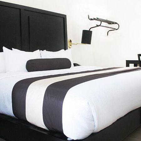 Hotel El Camino Inn & Suites Reynosa Eksteriør bilde