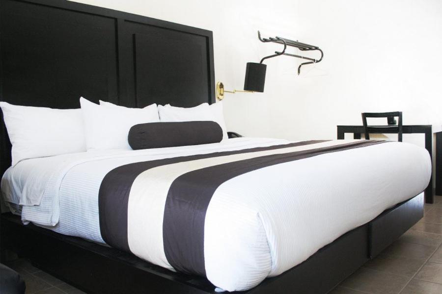 Hotel El Camino Inn & Suites Reynosa Eksteriør bilde